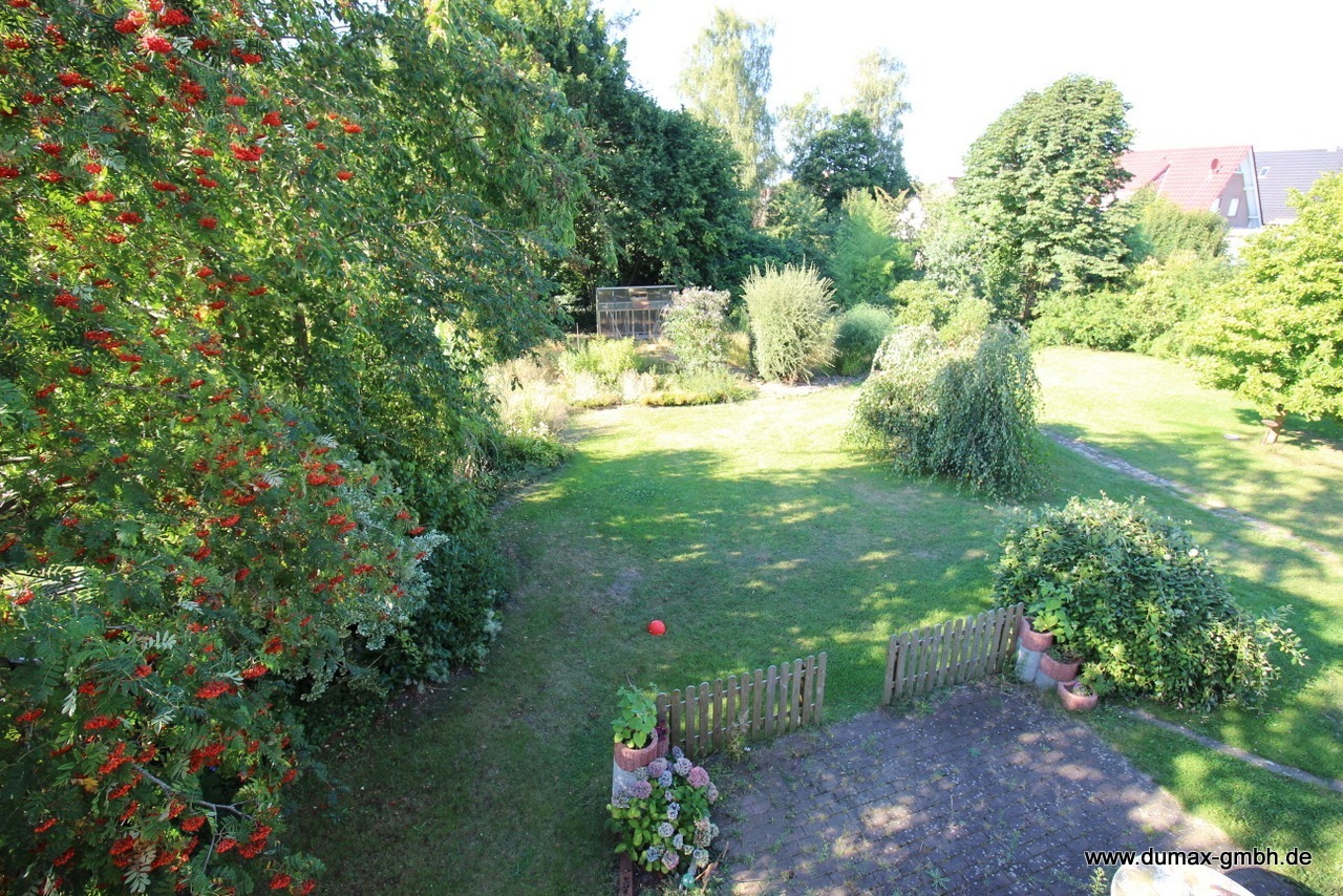 Blick in den Garten